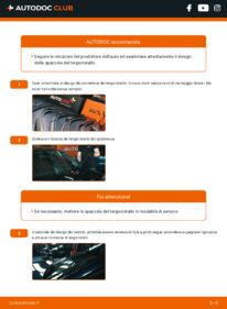 Cambie las Escobillas de Limpiaparabrisas de un TESLA por usted mismo: manuales y vídeos tutoriales