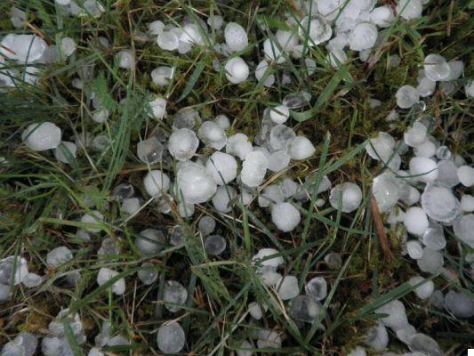 Folhas anti-granizo para automóveis | O melhor de 2021