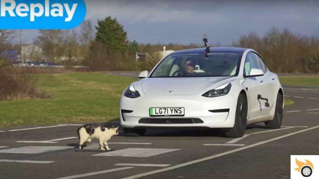 Can Tesla's emergency braking save a cat? The Model 3 against the Volvo V90
